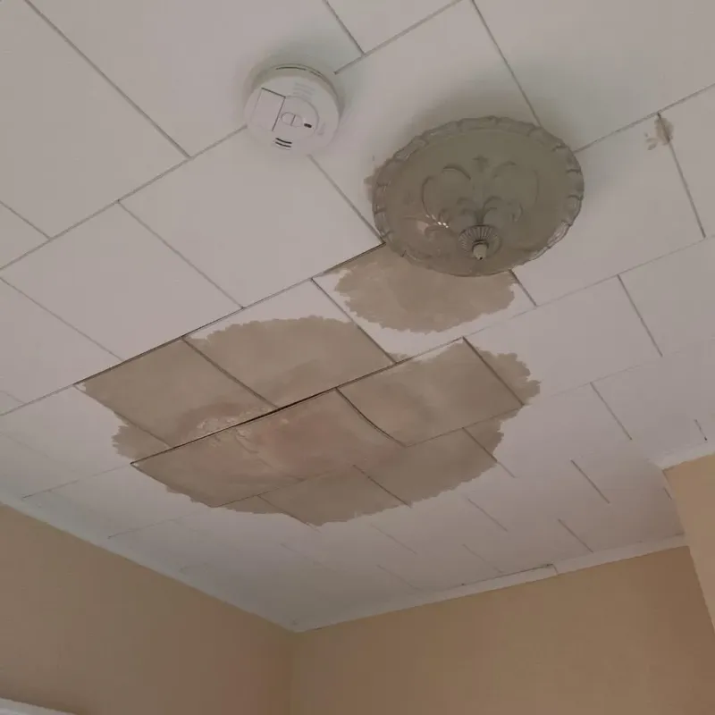 Ceiling Water Damage Repair in Major County, OK
