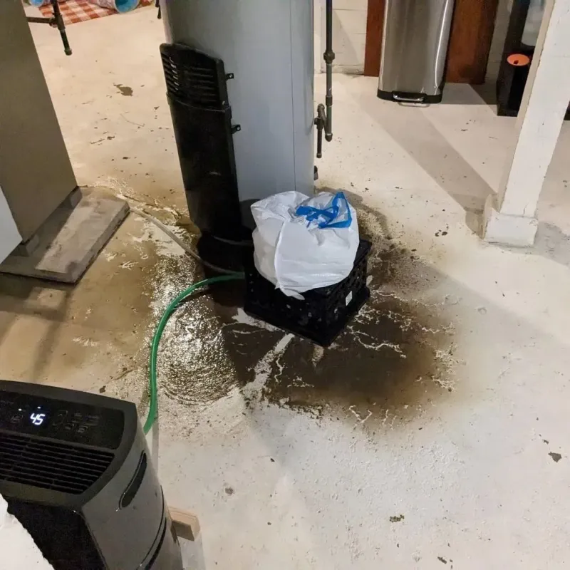 Sewage Backup Cleanup Service in Major County, OK